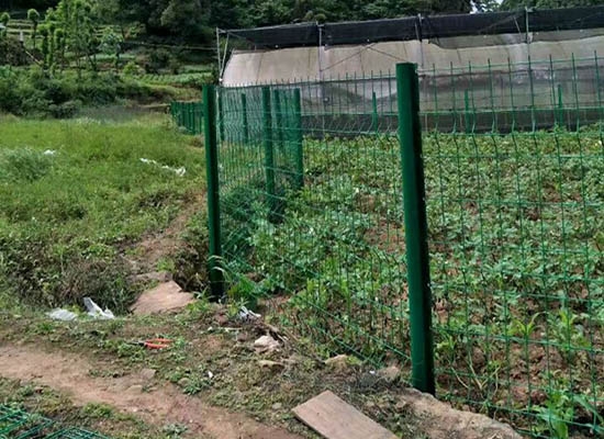 重庆桃形柱91视频完整版