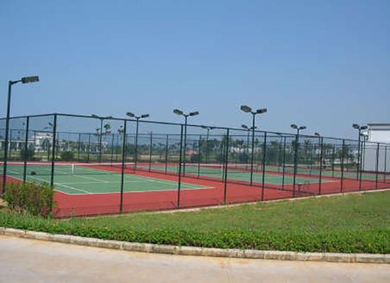 重庆球场91视频完整版