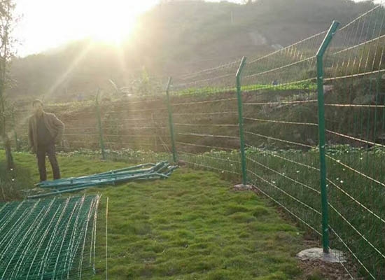 双边91视频完整版